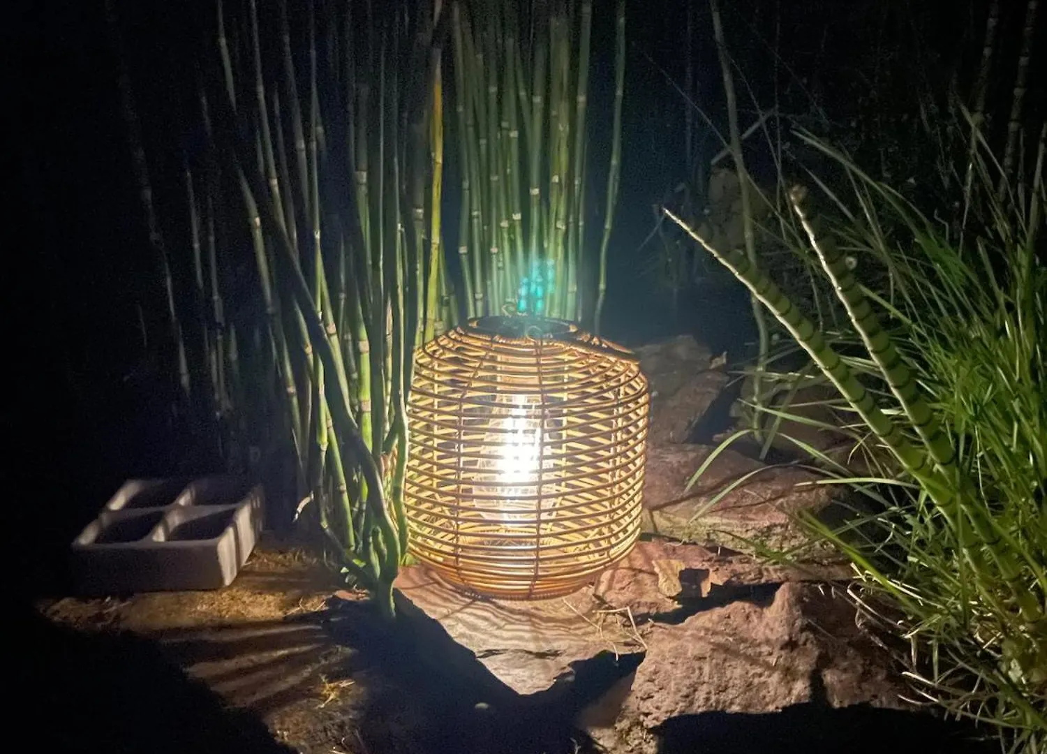 Charmante Petite Maison De Pays A 200 M Du Golfe سارزو 0*,  فرنسا