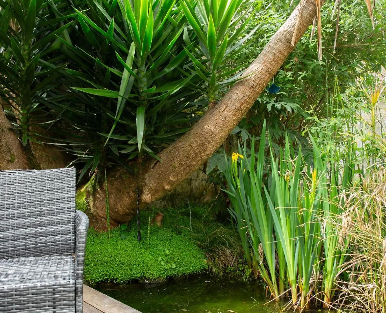 Charmante Petite Maison De Pays A 200 M Du Golfe Sarzeau Prázdninový dům